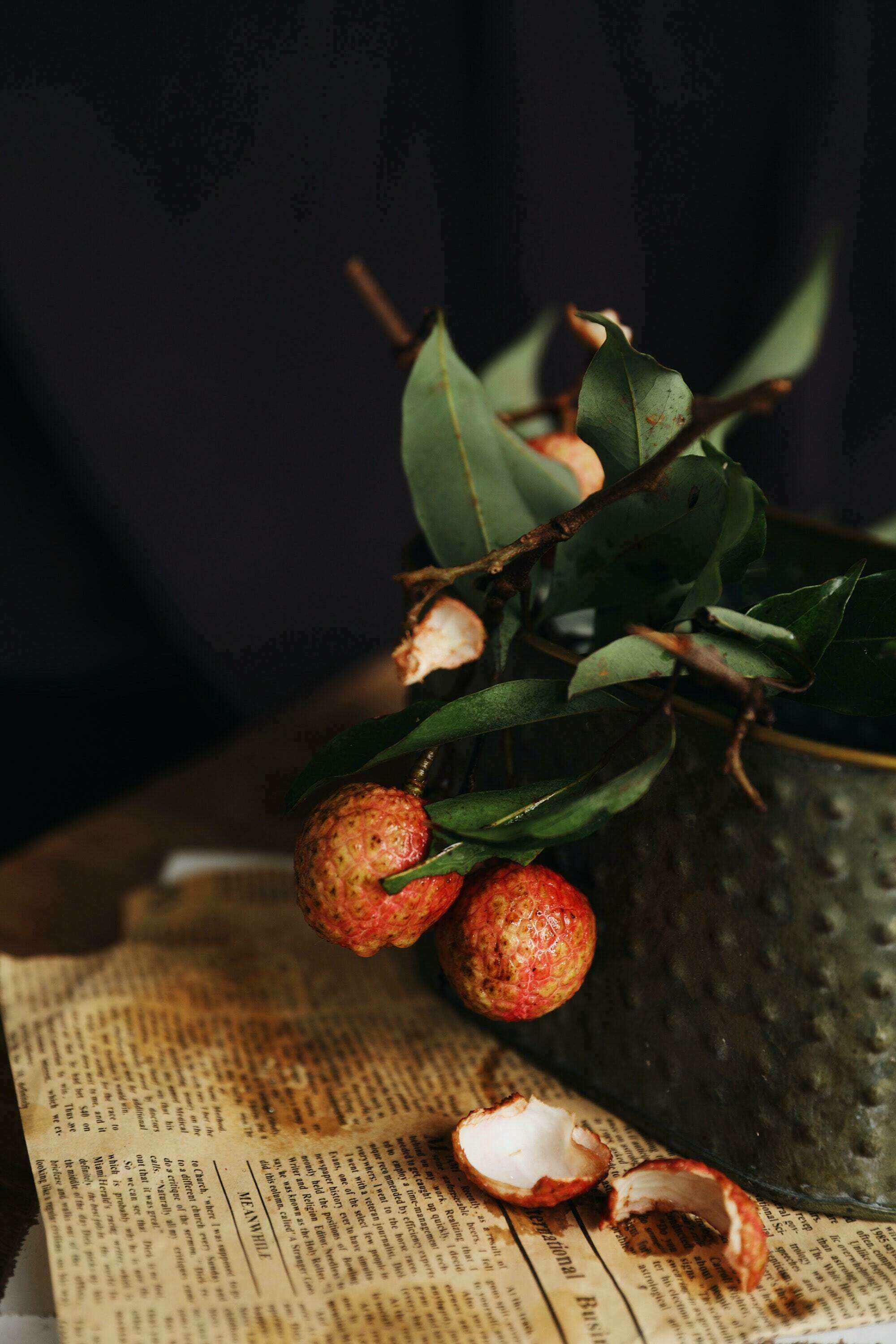 Tarifs de naturopathie